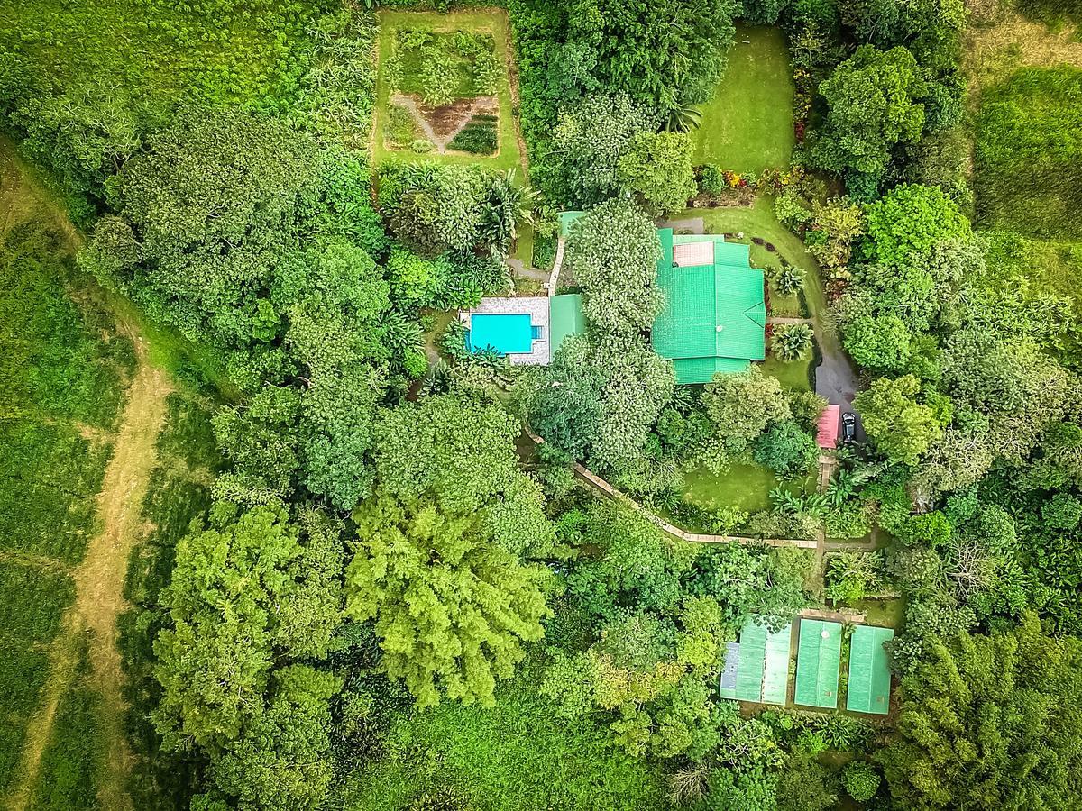 Tropical Paradise Bungalows Pital  المظهر الخارجي الصورة